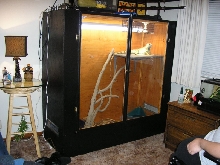 Iguana cage