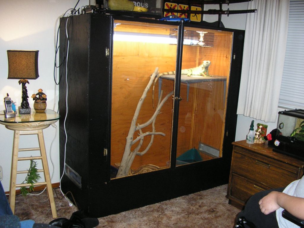 Iguana cage