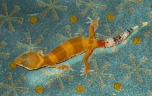 Christmas Gecko #4
