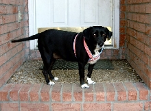 Mandy on Porch