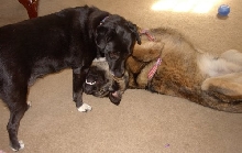 Mandy and Ozzie