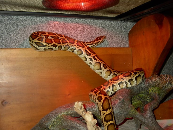 Pixil exploring1