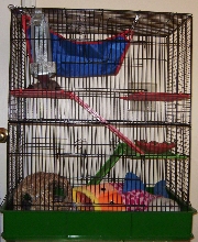 Rat Cage