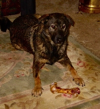 Ozzie after bathtime