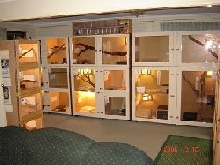 Just a small part of our collection