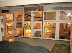 Just a small part of our collection