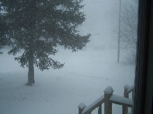 Global warming?