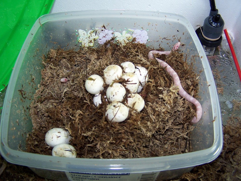 babies 6