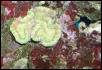 Saltwater Photos