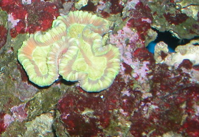 Saltwater Photos