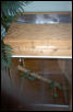 crested gecko enclosure (unfinished)