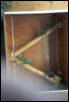 crested gecko enclosure2