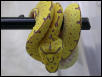 My first GTP