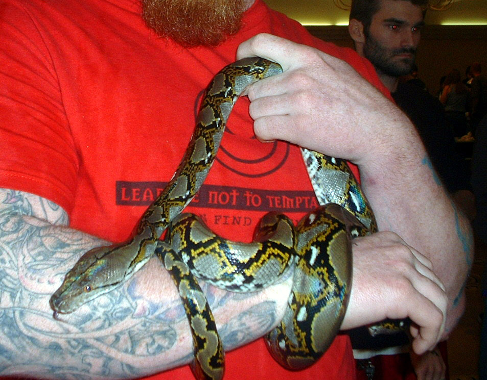 me and arigorn