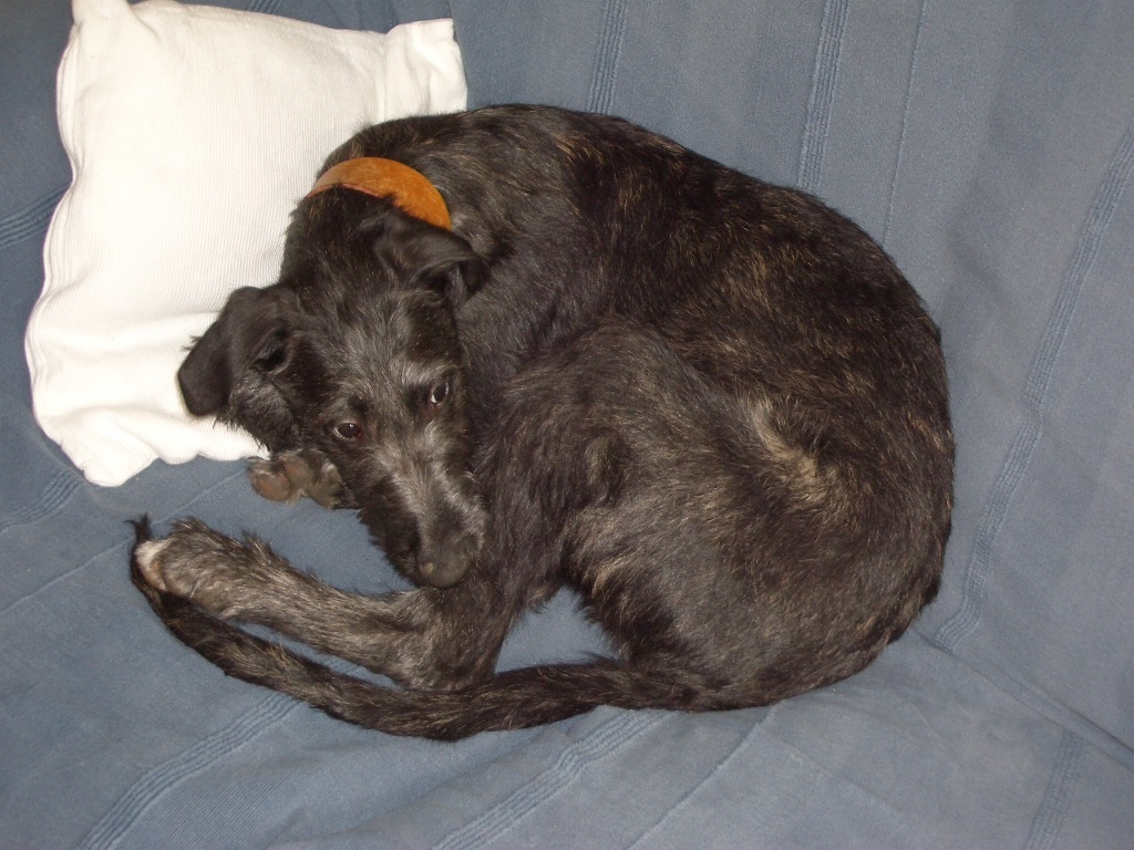 Santa's kangaroo impression aged 4 months