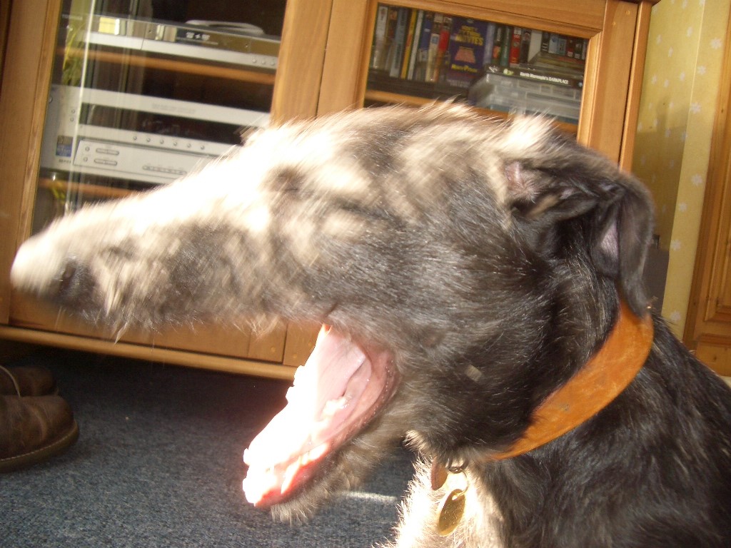 Santa yawn