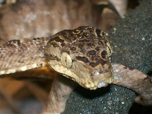 another head shot