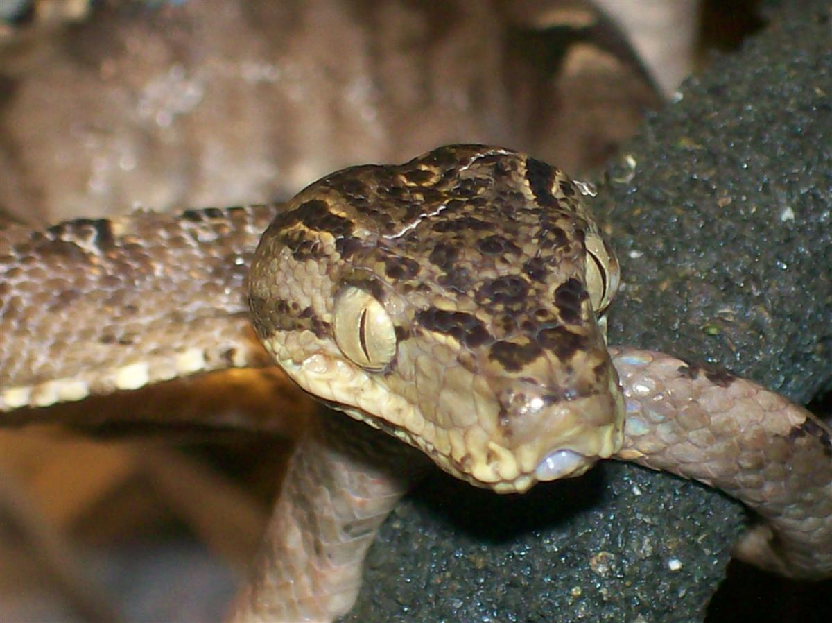 another head shot