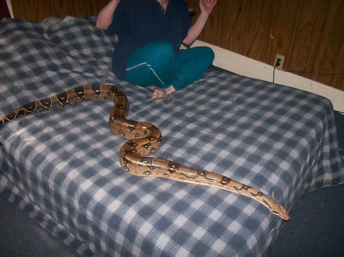 BIG SEXY SHOWING THE LENGTH