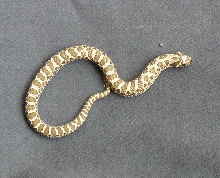 male 2