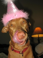 2nd Birthday