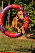 Tire Jump