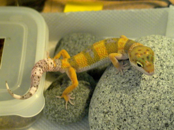 My new baby