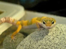 new baby 2