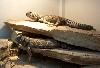 Bunk Beds