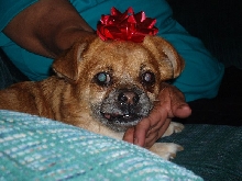 Christmas 2006
