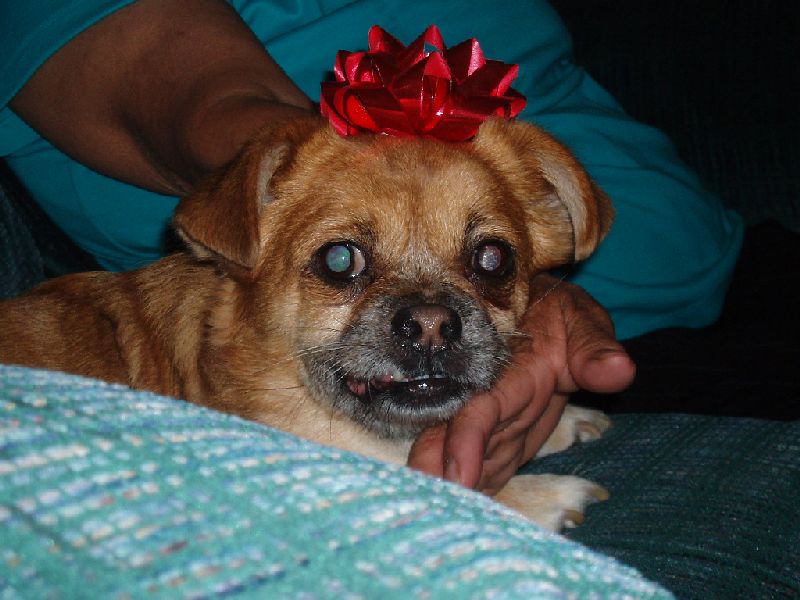 Christmas 2006