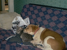 little one and his best friend