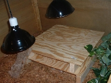 rhino's cage-interior (2)
