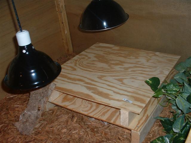 rhino's cage-interior (2)