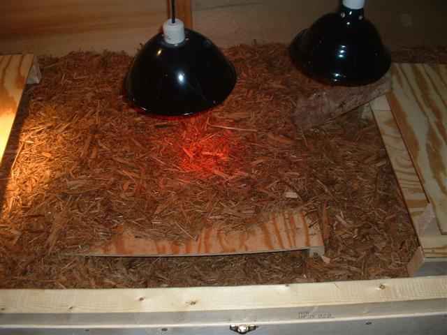 rhino's cage-interior