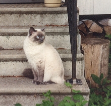 My Love for 16 years!