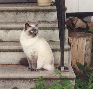 My Love for 16 years!