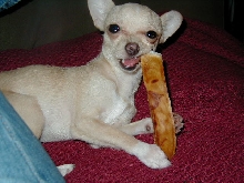 Favorite bone