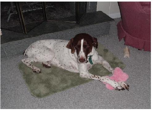 My Roxie