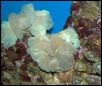 Saltwater Photos