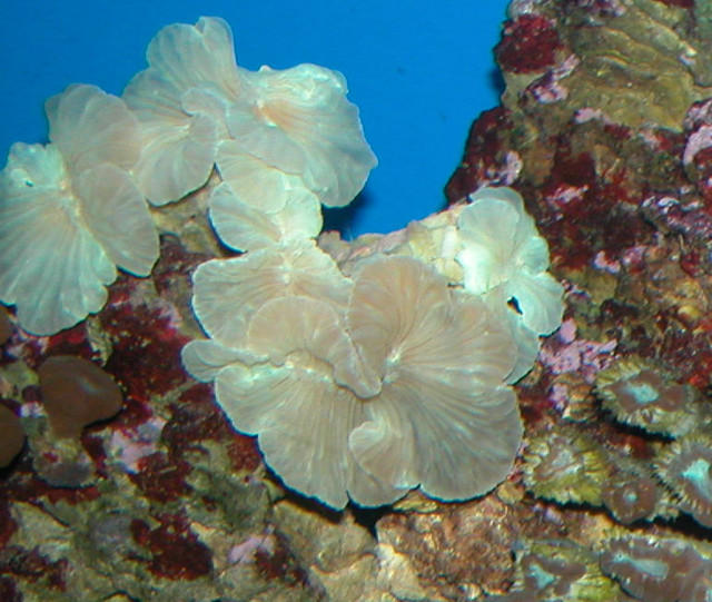 Saltwater Photos