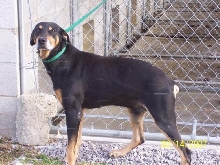 Soldier, 10 year old adoptee