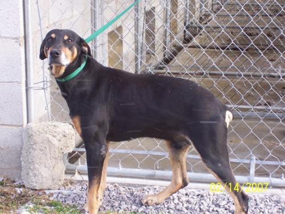 Soldier, 10 year old adoptee