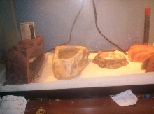 geico's new home
