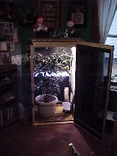 Abby's new home