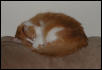 Mudd