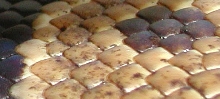 Jaws' Scales