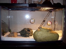front of enclosure