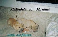 sister are forever