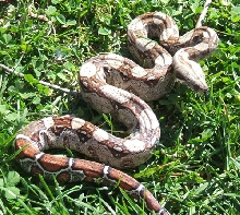 Outside!